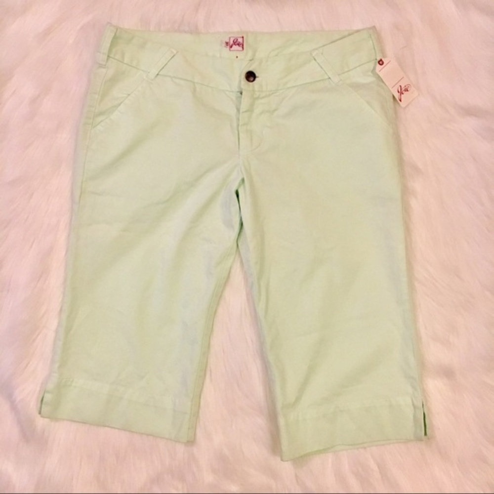 NEW Joie Mint bermuda shorts  size 30